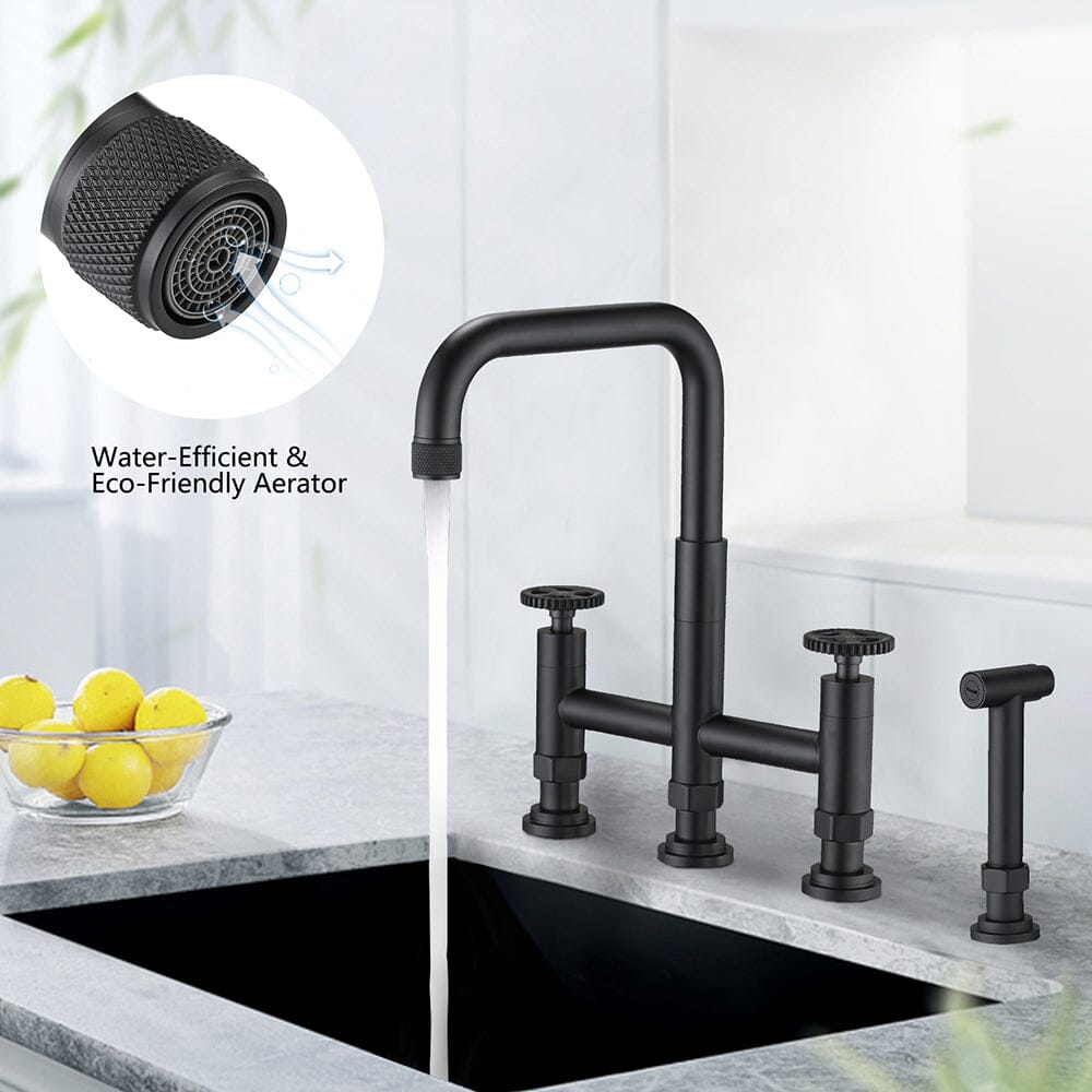 Giving Tree Double Handle Bridge Kitchen Faucet with Side Spray