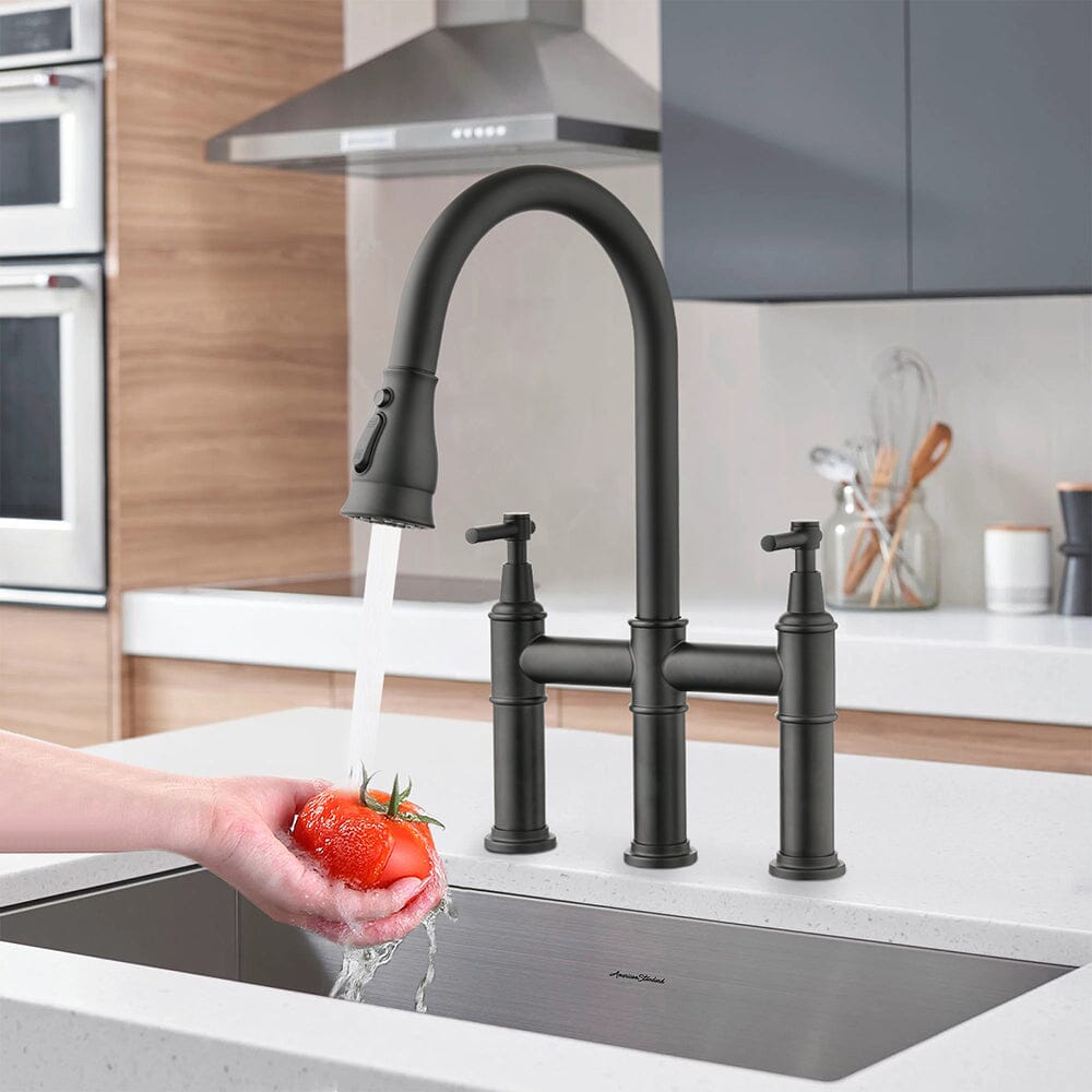 Giving Tree Bridge Kitchen Faucet with Pull-Down Sprayhead in Spot