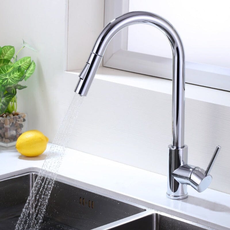 Giving Tree Kitchen Sink Faucet with Pull-out Flushing 360° Swivel Spout