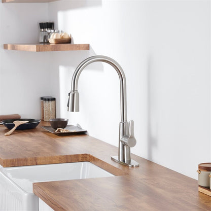 Giving Tree Kitchen Sink Faucet with Pull Out Sprayer Brushed Nickel