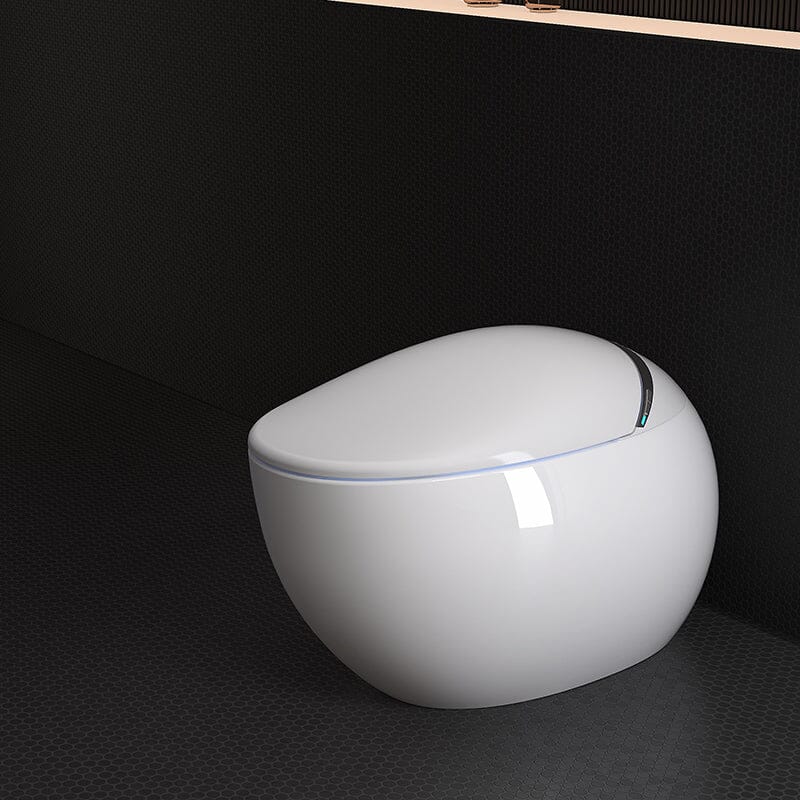 Modern Egg-Shaped Floor Mounted Smart Toilet with Built-in Water Tank