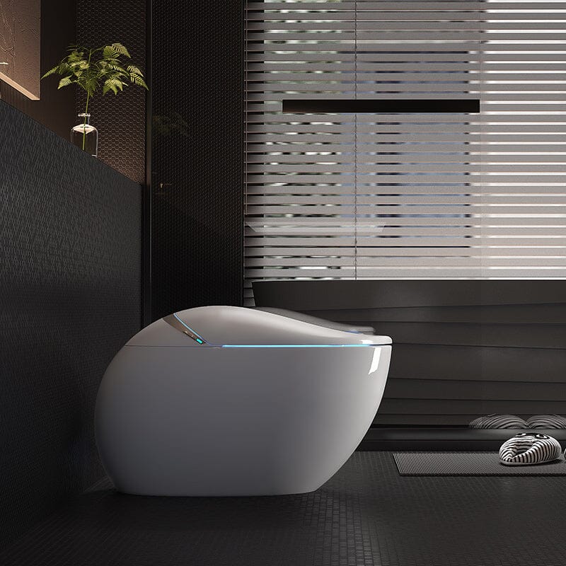 Modern Egg-Shaped Floor Mounted Smart Toilet with Built-in Water Tank