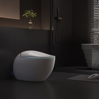 Modern Egg-Shaped Floor Mounted Smart Toilet with Built-in Water Tank