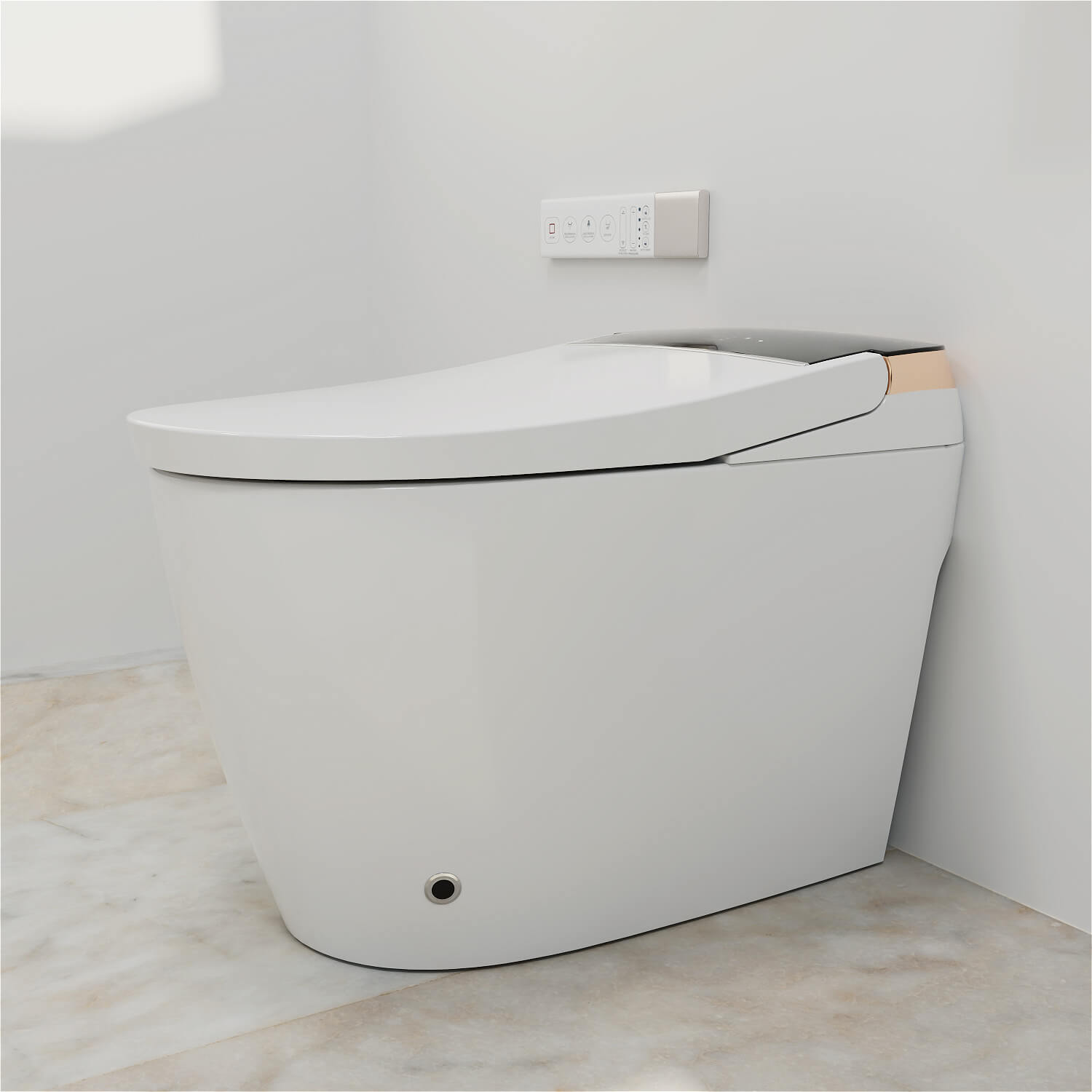 One Piece Smart Toilet with Bidet Built in, LED Night Light, Heated Seat, Warm Water