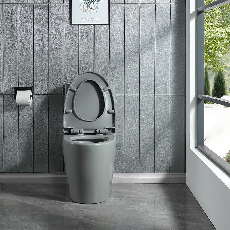 1.1/1.6 GPF Dual Flush One-Piece Floor Mount Elongated Toilet with Soft-Close Seat