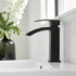 Giving Tree Modern Matte Black & Brushed Nickel Single Handle Single Hole Bathroom Faucet