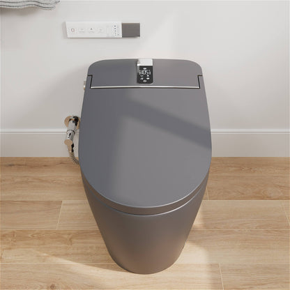 Gray Smart Bidet Toilet with LED Display