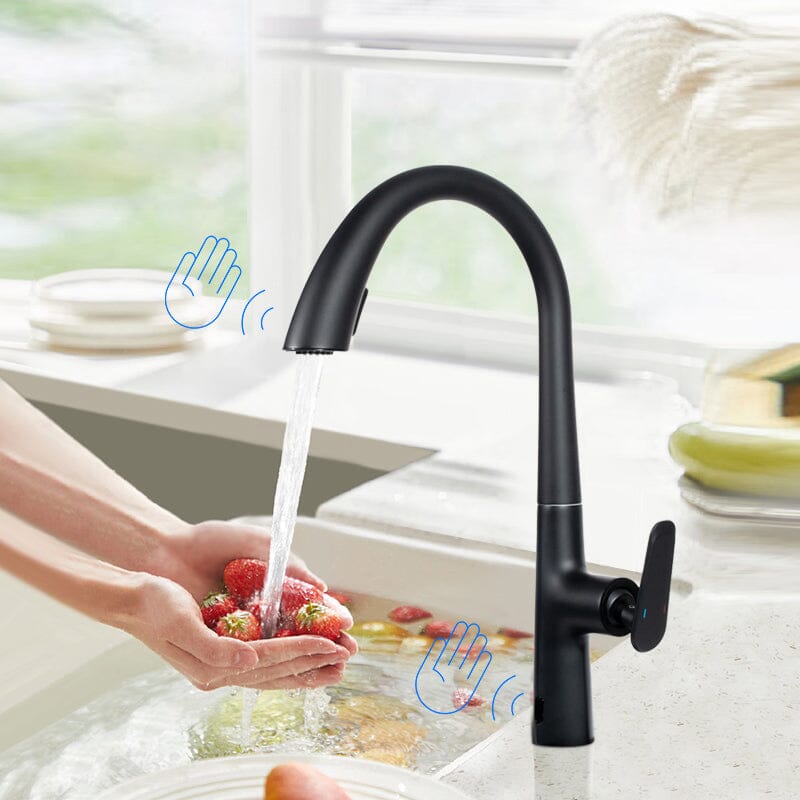 Giving Tree Kitchen Sensor High Arc Faucets Single Handle Pull Down