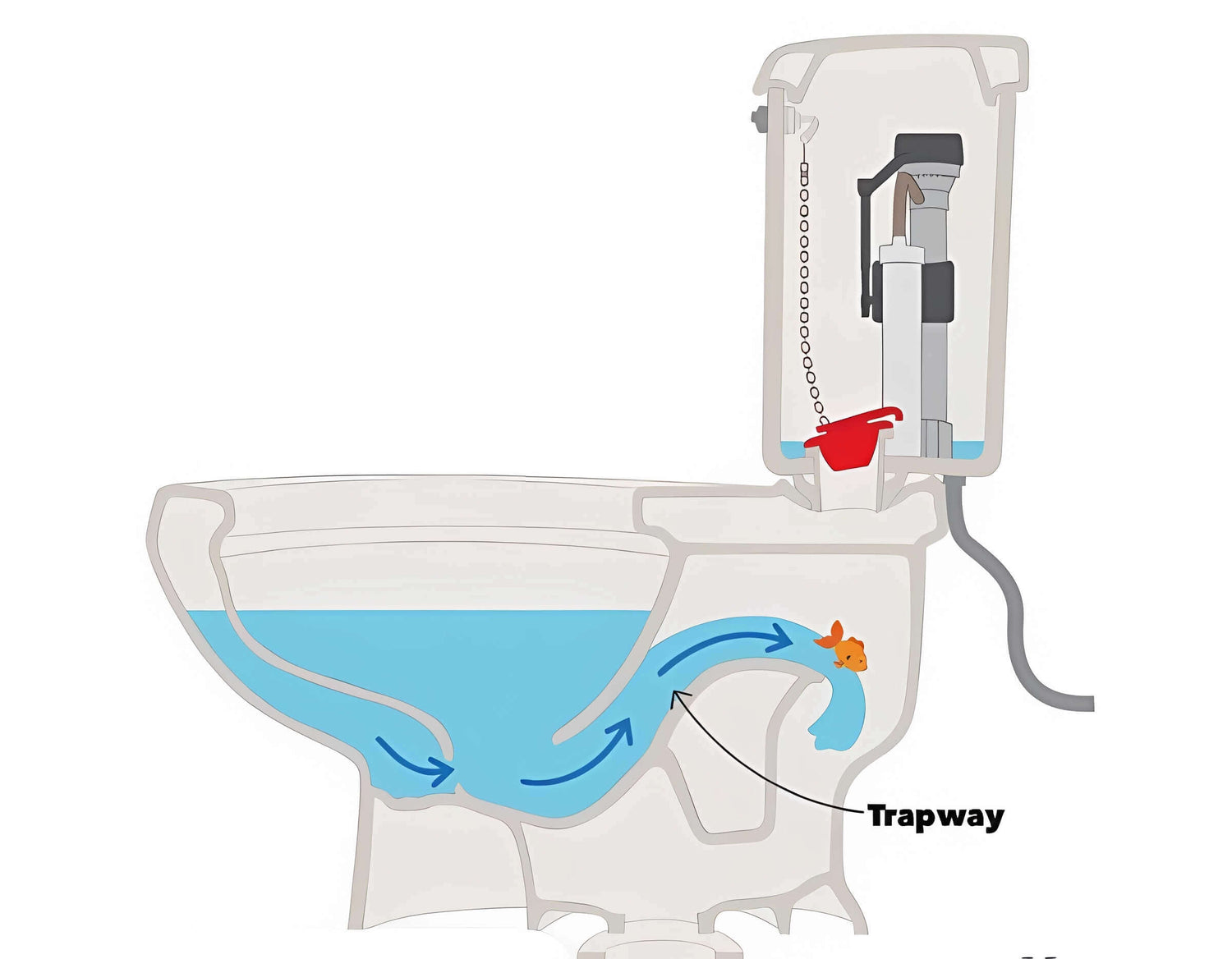 The Mechanics of Siphonic Toilets