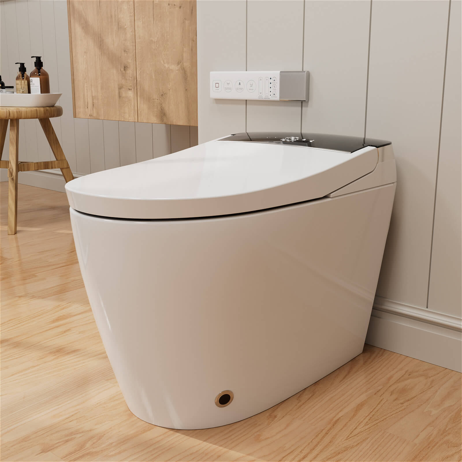 One Piece Smart Toilet with Bidet Built in, LED Night Light, Heated Seat, Warm Water