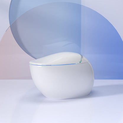 Modern Egg-Shaped Floor Mounted Smart Toilet with Built-in Water Tank