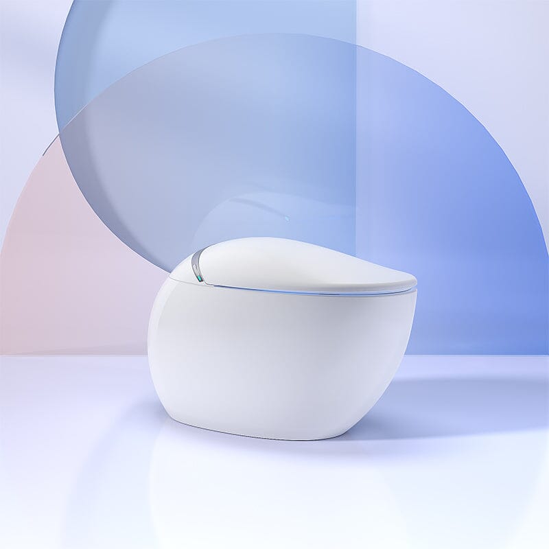 Modern Egg-Shaped Floor Mounted Smart Toilet with Built-in Water Tank