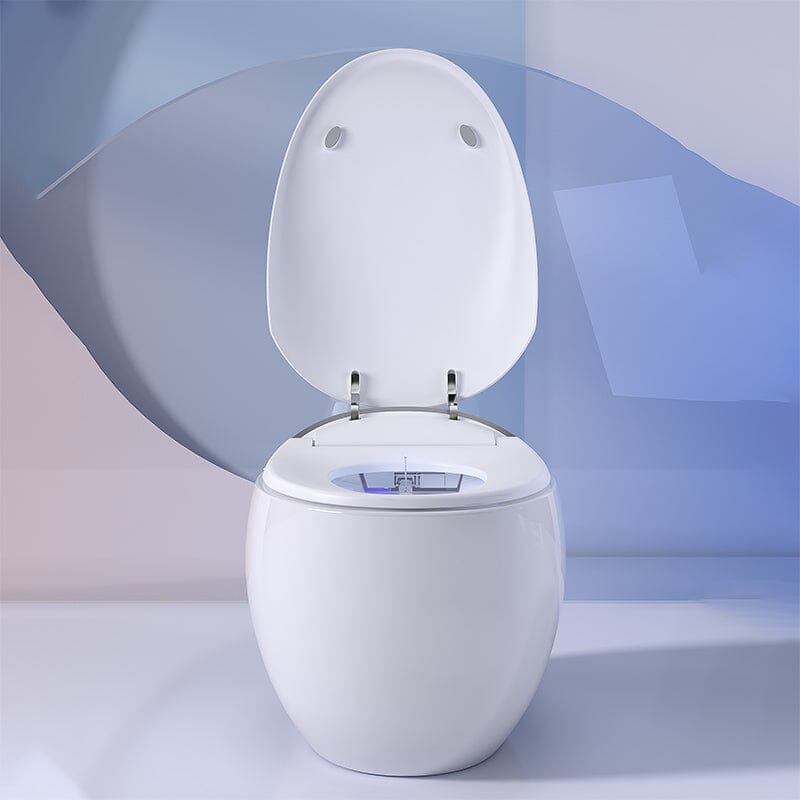 Modern Egg-Shaped Floor Mounted Smart Toilet with Built-in Water Tank