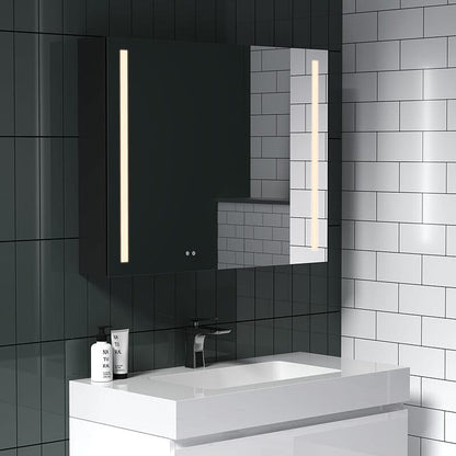 Rectangular Dimmable LED Lighted Medicine Cabinet with Mirror, Adjust Glass Shelves