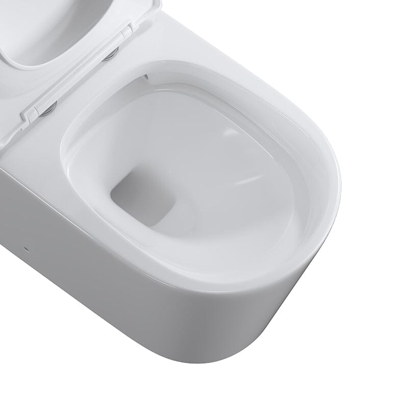 Modern Small One-Piece Floor Mount Toilet 1.1/1.6 GPF Dual Flush and Soft Close Seat