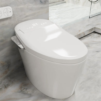 Smart Bidet Toilet with Elderly and Child Modes