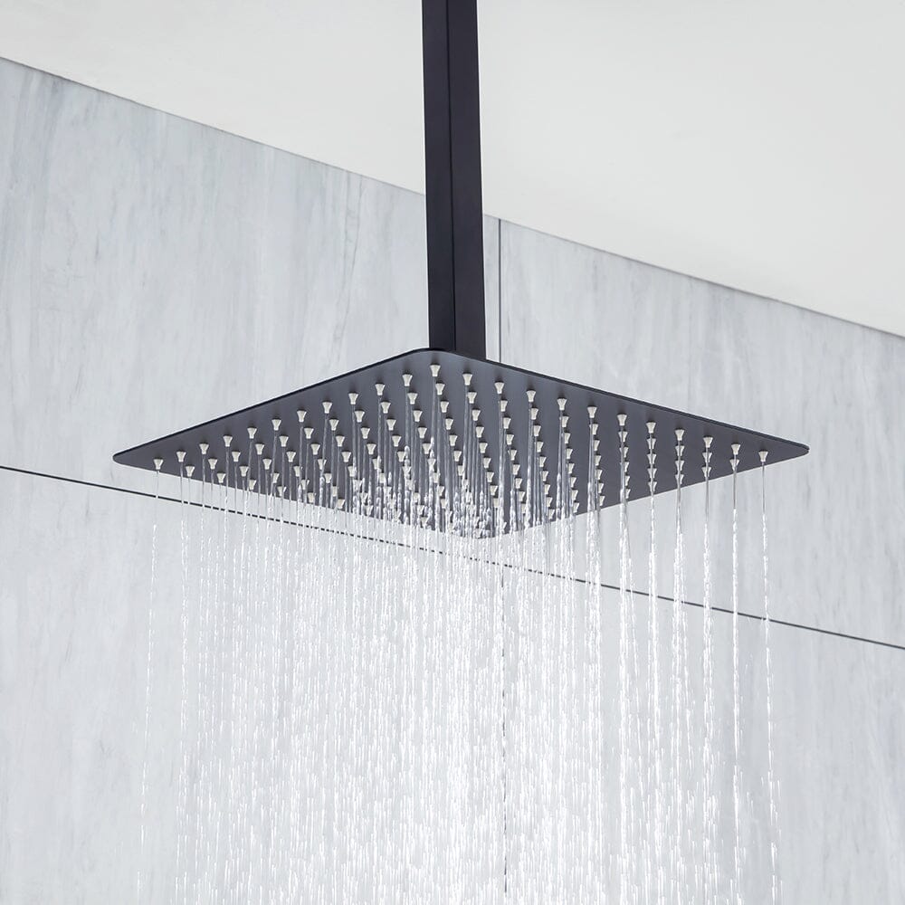 Ceiling Mount Shower 2 Spray Patterns with 2.5 GPM 12 in. Rain Shower Head Systems