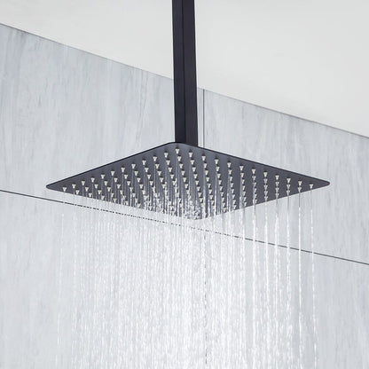 Ceiling Mount Shower 2 Spray Patterns with 2.5 GPM 12 in. Rain Shower Head Systems