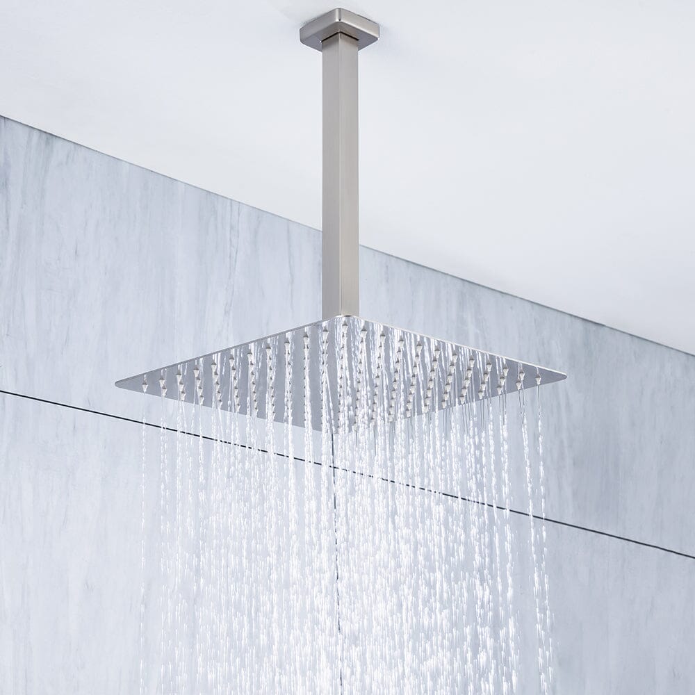 Ceiling Mount Shower 2 Spray Patterns with 2.5 GPM 12 in. Rain Shower Head Systems