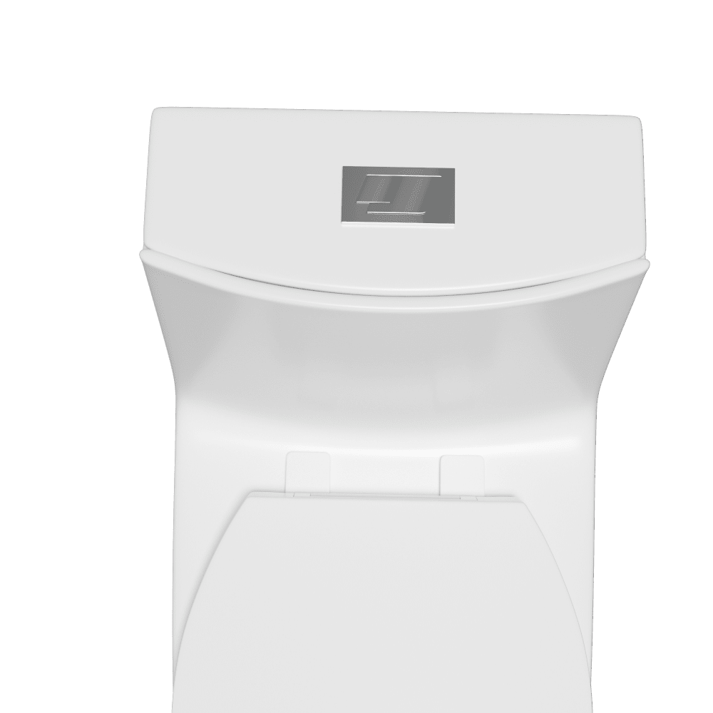 Giving Tree One-Piece Toilet 1.1GPF/1.6 GPF Siphon Jet Dual Flushing with Toilet Seat