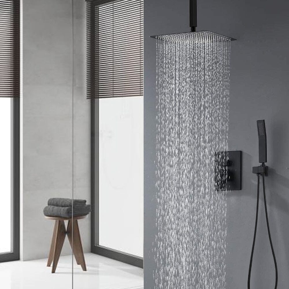 Giving Tree Shower System 2-Spray Patterns Dual Shower Heads with 10 in. Rain Ceiling Mount