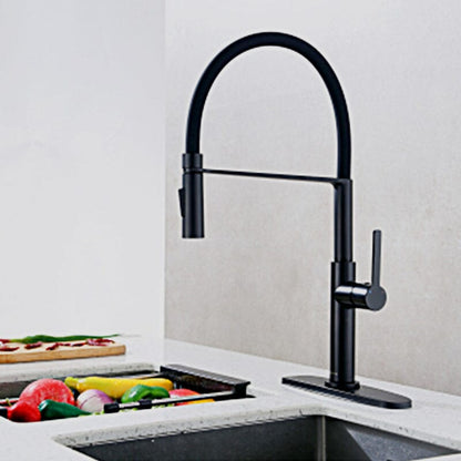 Pull Down Single Handle Kitchen Faucet